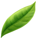 coffee-beans-P4MXYZD5-130x140 (1)